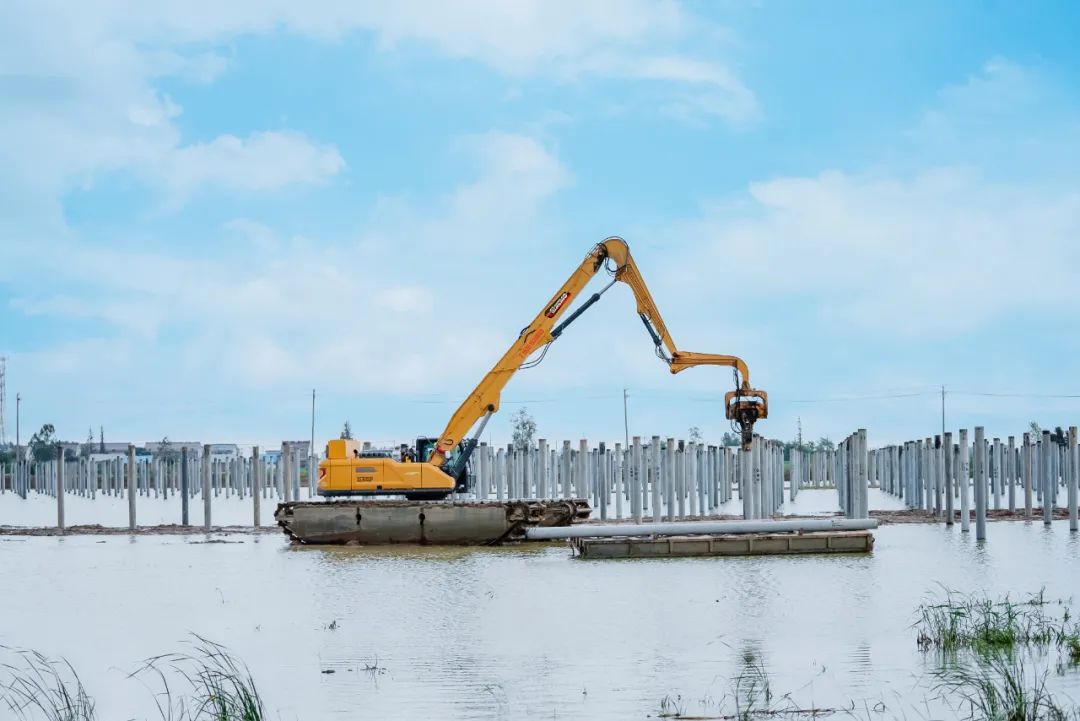 威尼斯9499登录入口(中国)有限公司官网