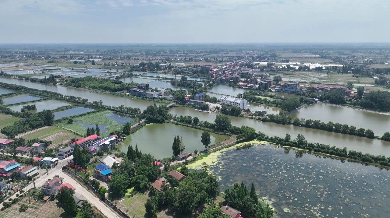 威尼斯9499登录入口(中国)有限公司官网