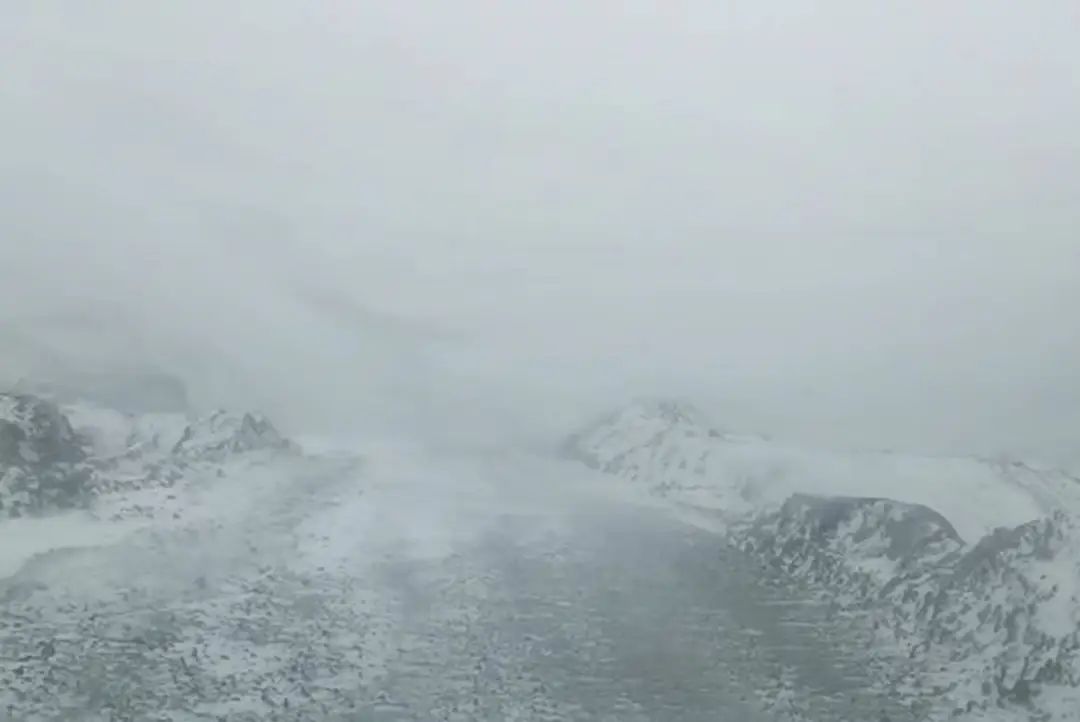 威尼斯9499登录入口(中国)有限公司官网